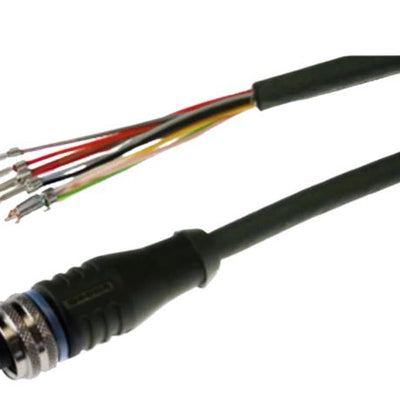 C L12FG-S-10M-PUR