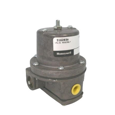 316203A