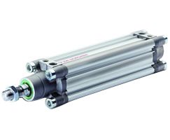 PRA/182063/M/80