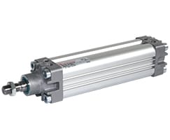 PRA/182063/M/50