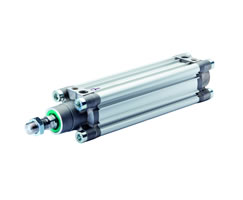 PRA/802063/M/100