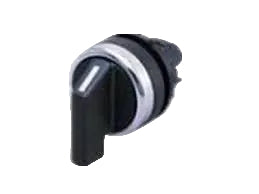 RWH-1V