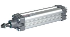 PRA/182040/M/50
