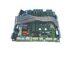 ESC-C13